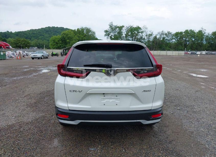 Photo 17 of 2020 Honda Cr-v AWD EX-L (VIN 2HKRW2H82LH600215)