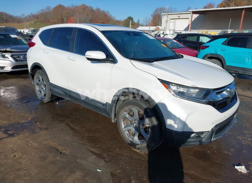 2019 Honda Cr-v EX-L (VIN 2HKRW2H83KH607768) main photo