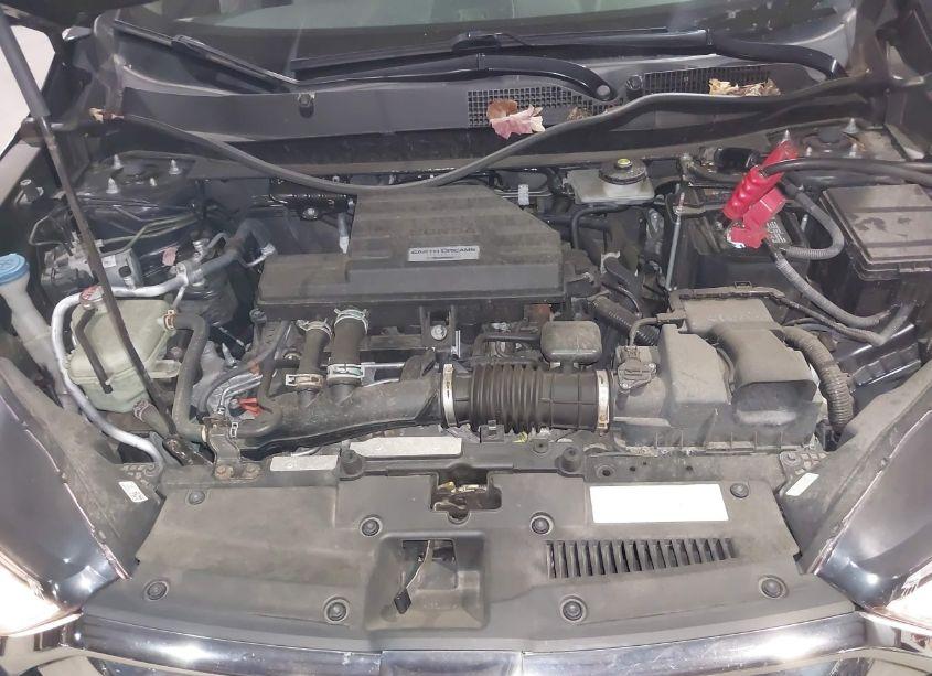 Photo 10 of 2019 Honda Cr-v EX-L (VIN 2HKRW2H83KH627941)