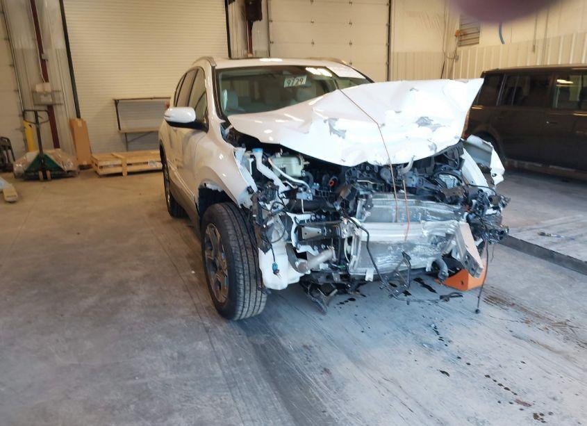 2019 Honda Cr-v EX-L (VIN 2HKRW2H83KH671227) main photo