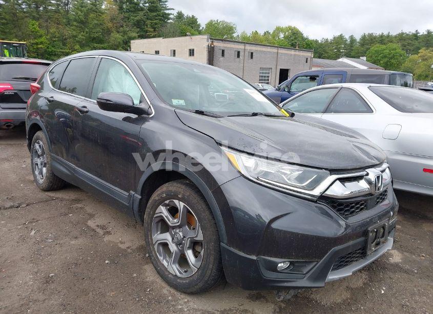 2019 Honda Cr-v EX-L (VIN 2HKRW2H84KH665887) main photo