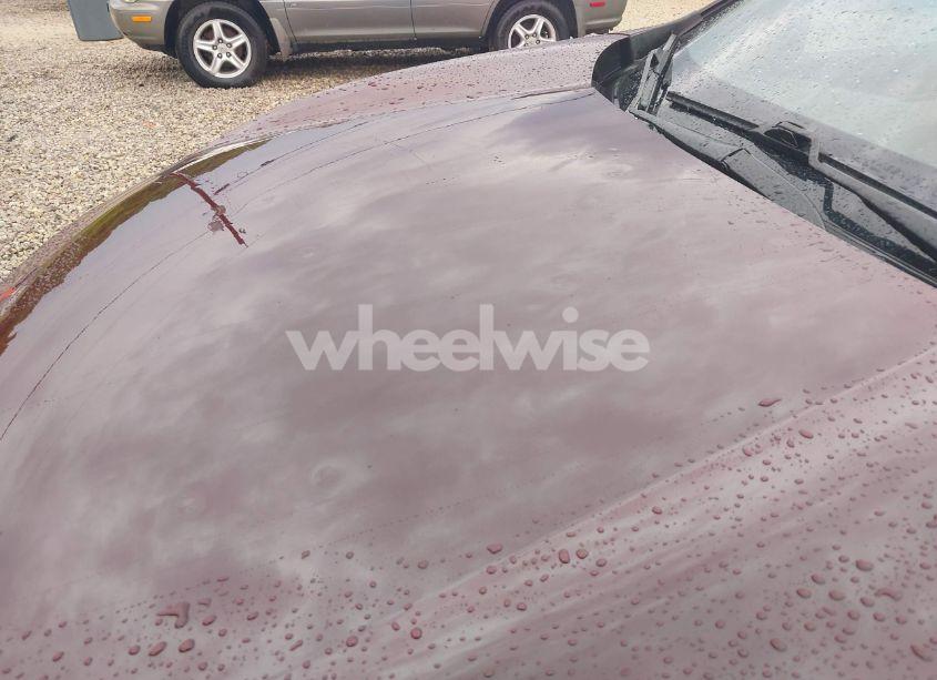 Photo 6 of 2019 Honda Cr-v EX-L (VIN 2HKRW2H86KH675966)