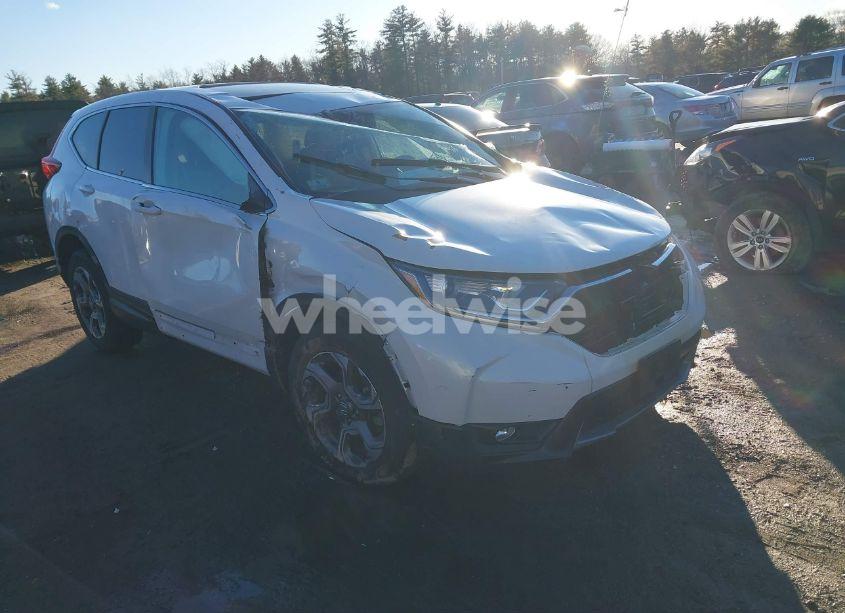 2019 Honda Cr-v EX-L (VIN 2HKRW2H87KH662384) main photo