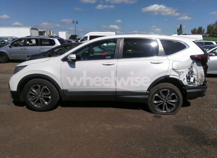 Photo 14 of 2020 Honda Cr-v AWD EX-L (VIN 2HKRW2H87LH635431)