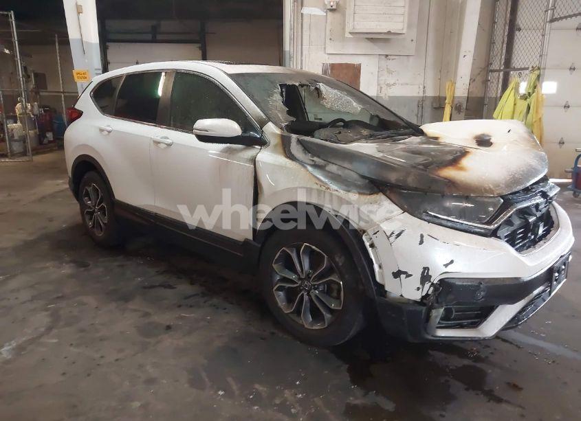 2020 Honda Cr-v AWD EX-L (VIN 2HKRW2H89LH700263) main photo