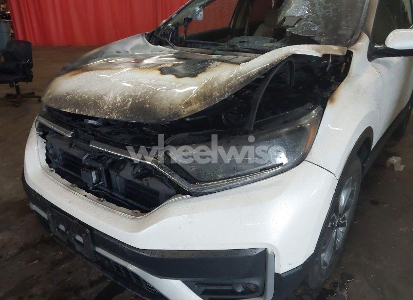 Photo 6 of 2020 Honda Cr-v AWD EX-L (VIN 2HKRW2H89LH700263)