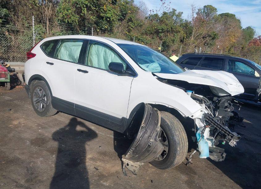 2019 Honda Cr-v LX (VIN 2HKRW5H31KH421118) main photo