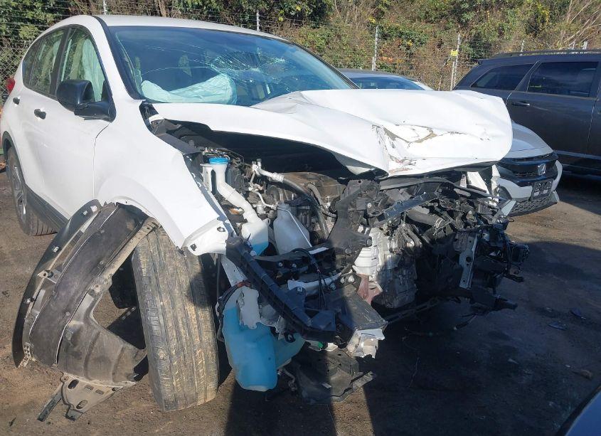 Photo 12 of 2019 Honda Cr-v LX (VIN 2HKRW5H31KH421118)