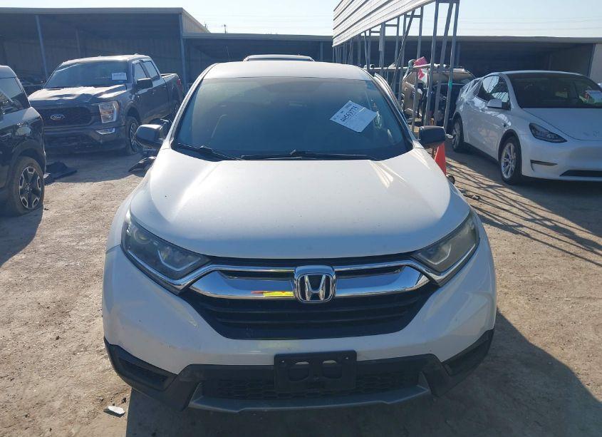 Photo 13 of 2019 Honda Cr-v LX (VIN 2HKRW5H32KH400925)