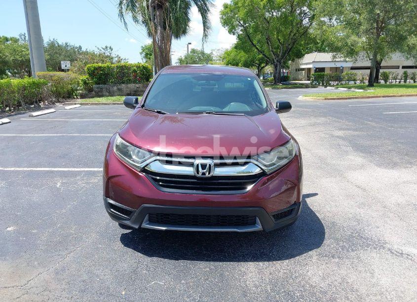Photo 12 of 2019 Honda Cr-v LX (VIN 2HKRW5H32KH409284)