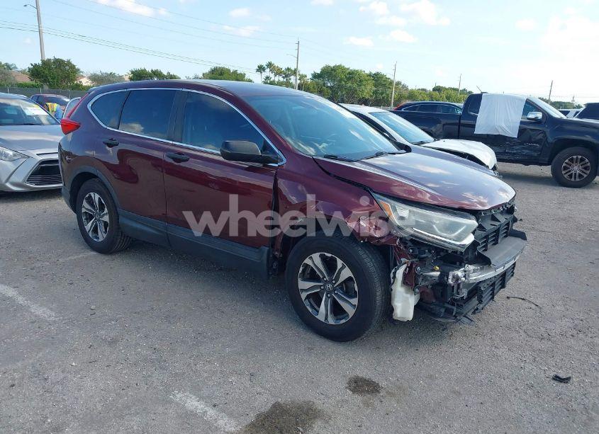 2019 Honda Cr-v LX (VIN 2HKRW5H34KH407844) main photo