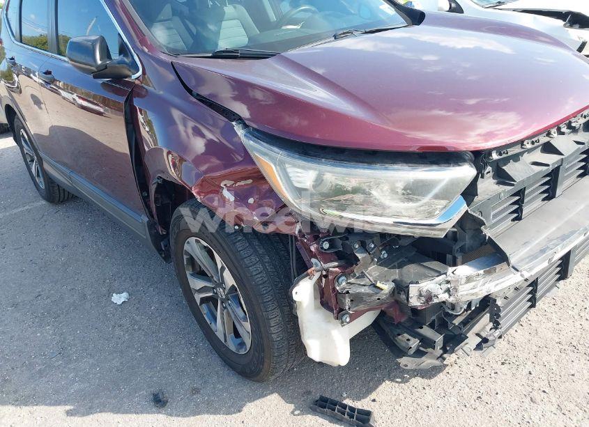 Photo 6 of 2019 Honda Cr-v LX (VIN 2HKRW5H34KH407844)