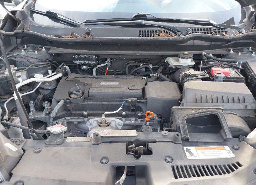 Photo 10 of 2019 Honda Cr-v LX (VIN 2HKRW5H39KH415714)