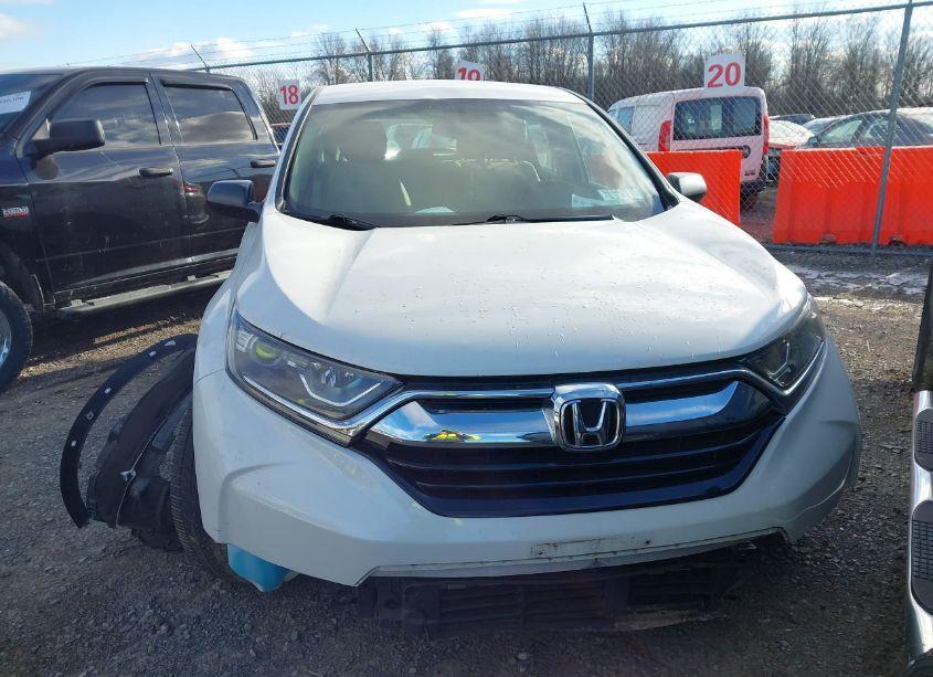 Photo 13 of 2019 Honda Cr-v LX (VIN 2HKRW6H30KH202446)