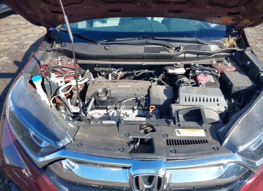 Photo 10 of 2019 Honda Cr-v LX (VIN 2HKRW6H31KH222625)