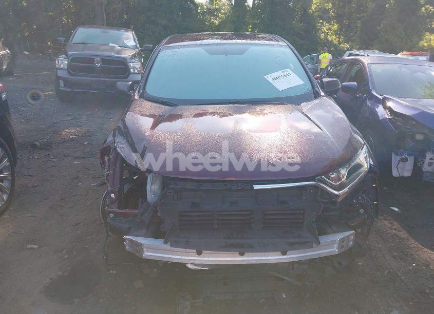 Photo 12 of 2019 Honda Cr-v LX (VIN 2HKRW6H31KH222981)