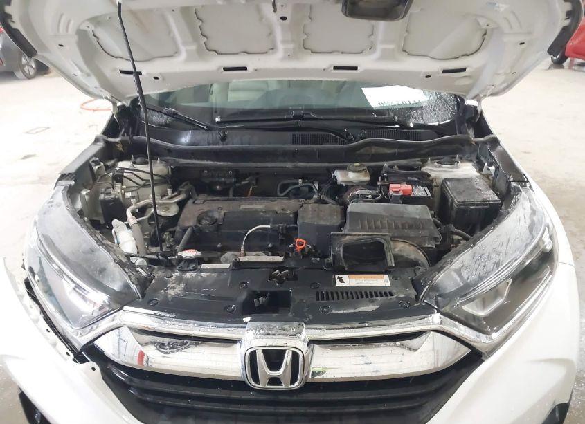 Photo 10 of 2019 Honda Cr-v LX (VIN 2HKRW6H32KH209575)