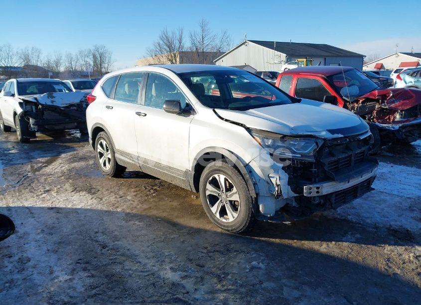 2019 Honda Cr-v LX (VIN 2HKRW6H37KH232205) main photo