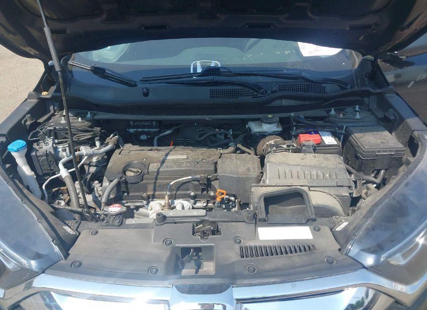 Photo 10 of 2019 Honda Cr-v LX (VIN 2HKRW6H39KH231475)