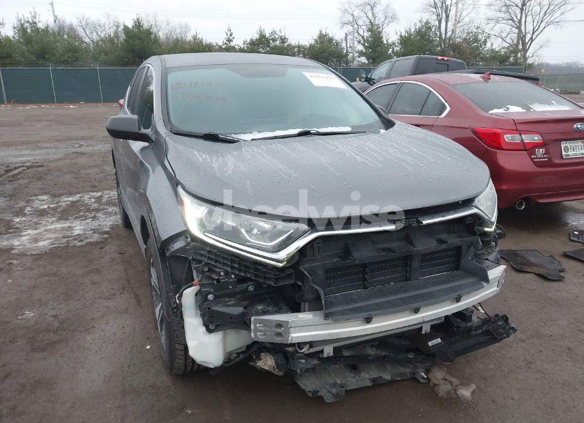 2019 Honda Cr-v LX (VIN 2HKRW6H3XKH202504) main photo