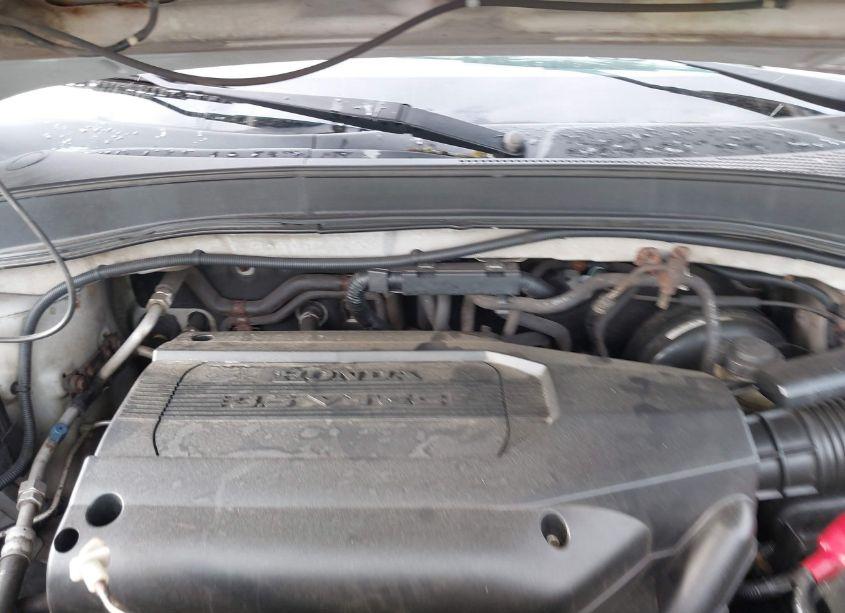 Photo 10 of 2004 Honda Pilot LX (VIN 2HKYF18174H616923)