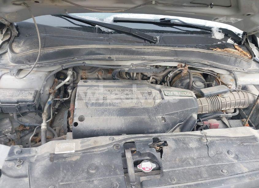 Photo 10 of 2004 Honda Pilot EX (VIN 2HKYF18404H501915)