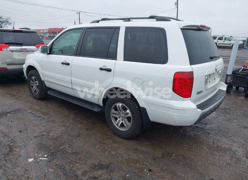 Photo 3 of 2003 Honda Pilot EX (VIN 2HKYF18413H529933)