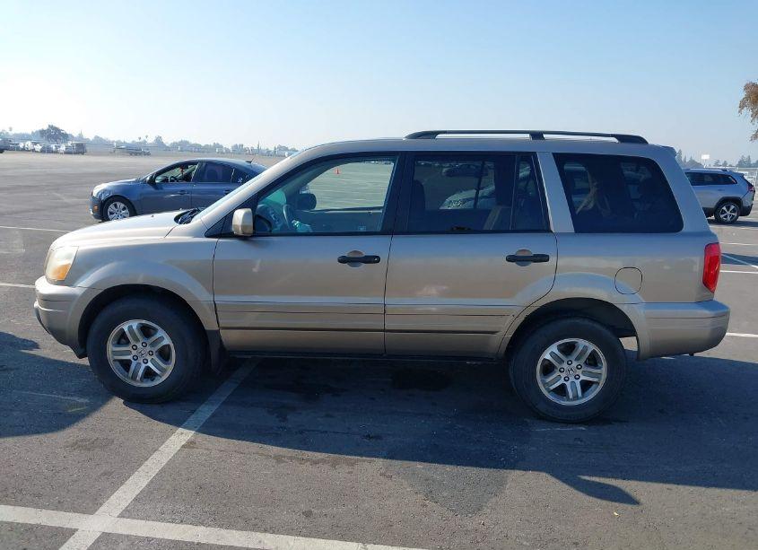 Photo 14 of 2004 Honda Pilot EX (VIN 2HKYF18414H599479)