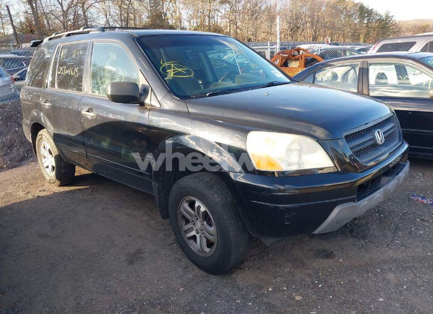 2003 Honda Pilot EX (VIN 2HKYF18423H533862) main photo