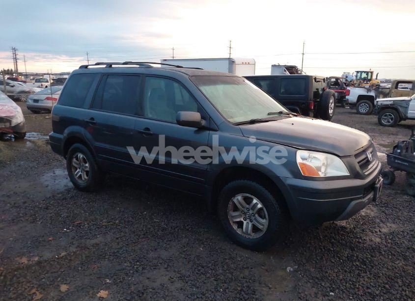 2003 Honda Pilot EX (VIN 2HKYF18423H557806) main photo