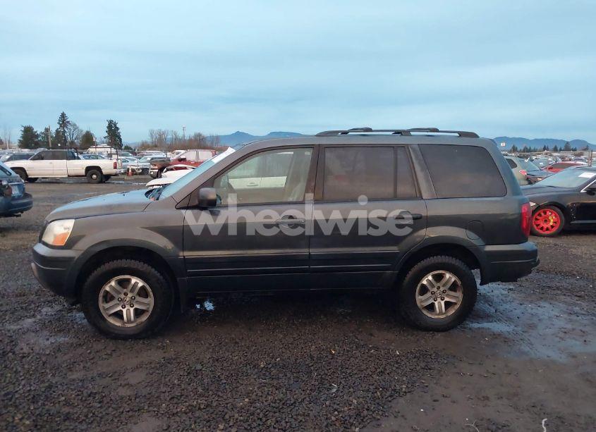 Photo 14 of 2003 Honda Pilot EX (VIN 2HKYF18423H557806)