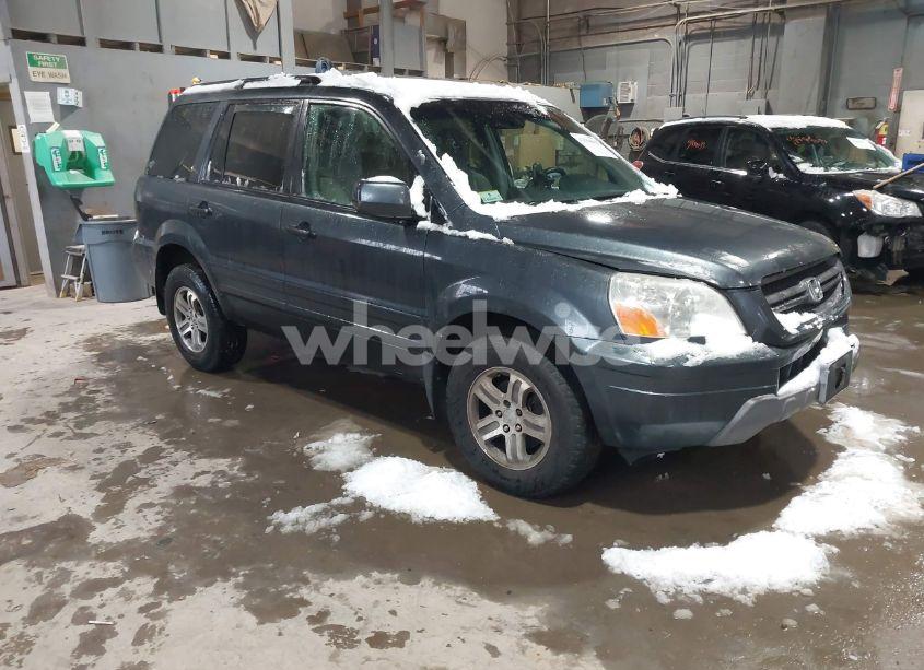 2003 Honda Pilot EX (VIN 2HKYF18423H603358) main photo