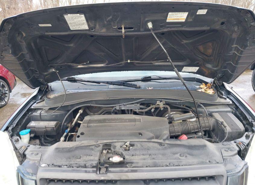 Photo 10 of 2004 Honda Pilot EX (VIN 2HKYF18424H602700)