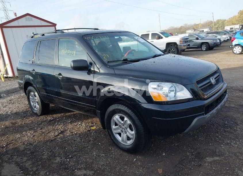 2005 Honda Pilot EX (VIN 2HKYF18425H567805) main photo