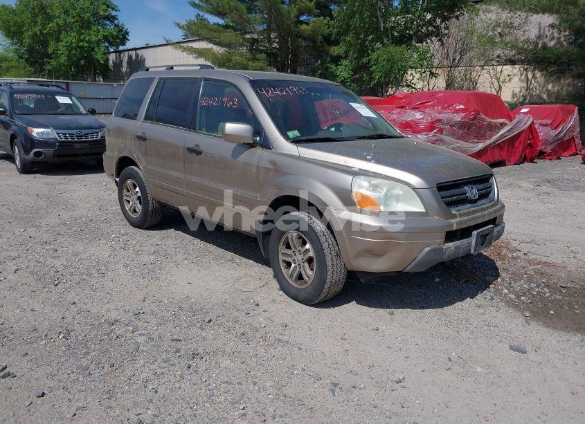 2005 Honda Pilot EX (VIN 2HKYF18435H501473) main photo