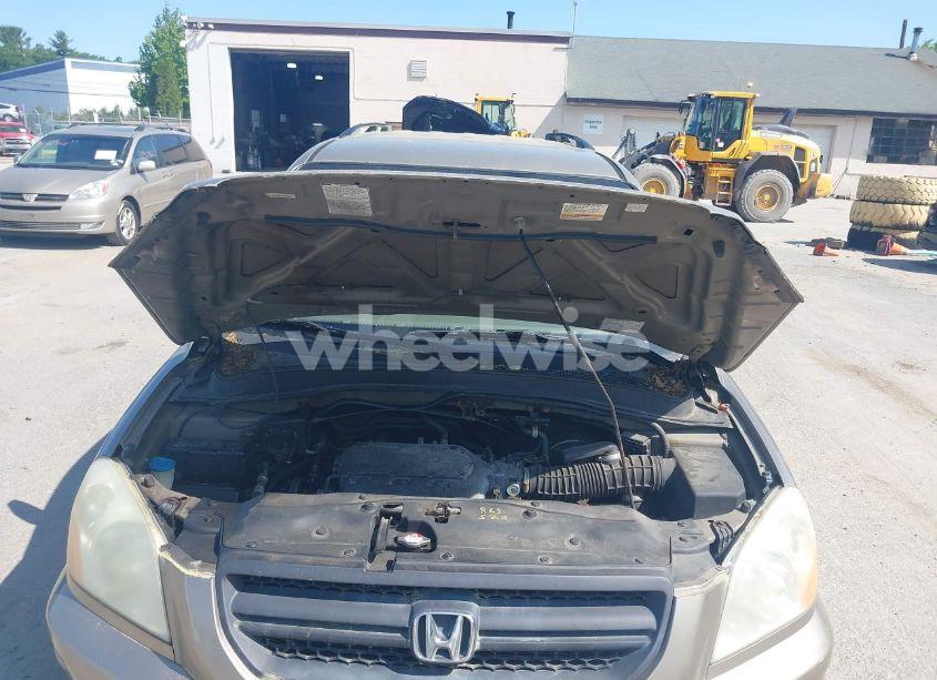 Photo 10 of 2005 Honda Pilot EX (VIN 2HKYF18435H501473)