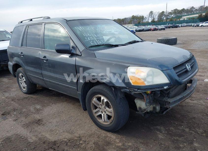 2005 Honda Pilot EX (VIN 2HKYF18435H522159) main photo