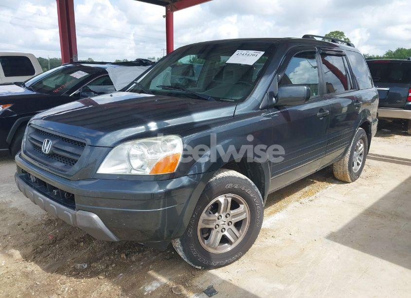 Photo 2 of 2003 Honda Pilot EX (VIN 2HKYF18443H608450)