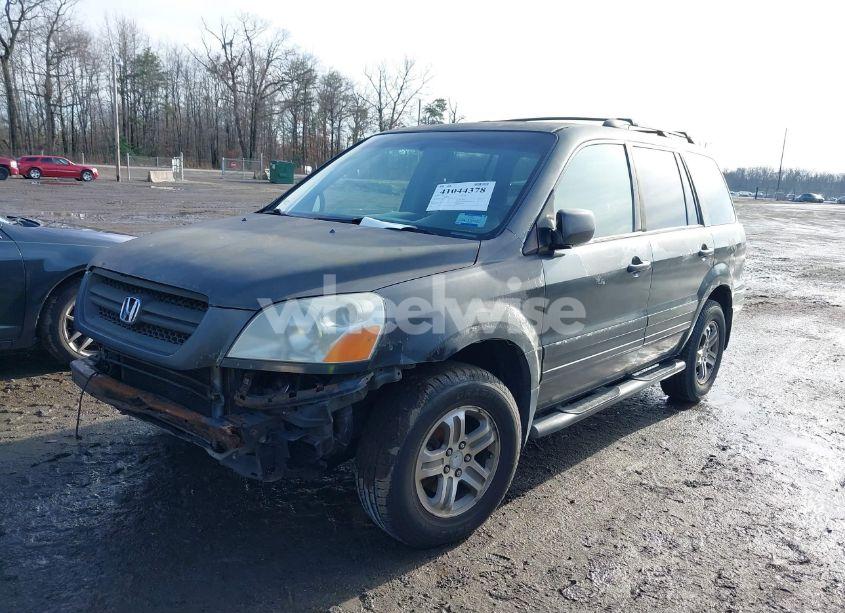 Photo 2 of 2003 Honda Pilot EX (VIN 2HKYF18453H564152)