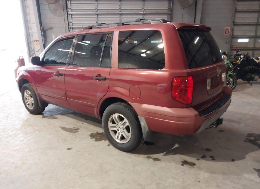 Photo 3 of 2004 Honda Pilot EX (VIN 2HKYF18454H595869)