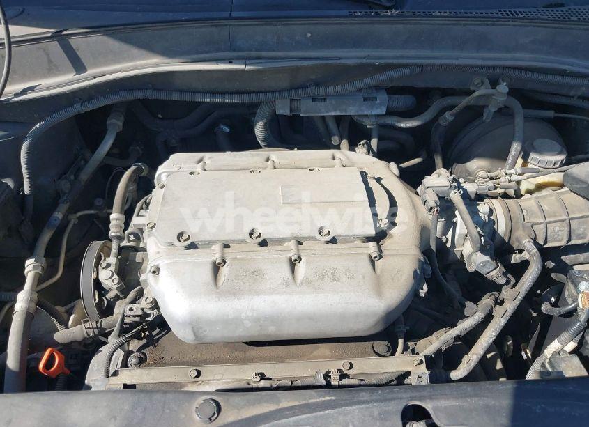 Photo 10 of 2004 Honda Pilot EX (VIN 2HKYF18464H546664)