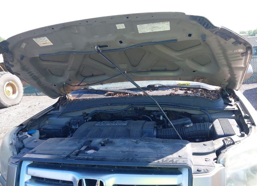 Photo 10 of 2006 Honda Pilot EX (VIN 2HKYF18476H508377)