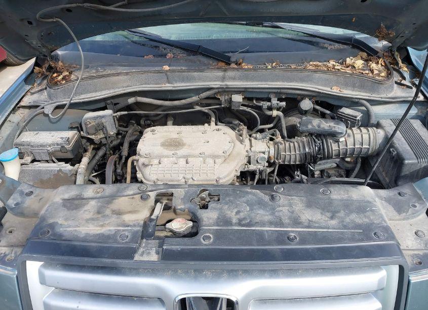 Photo 10 of 2007 Honda Pilot EX (VIN 2HKYF18477H503858)