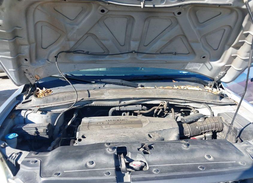 Photo 10 of 2003 Honda Pilot EX (VIN 2HKYF18483H622870)