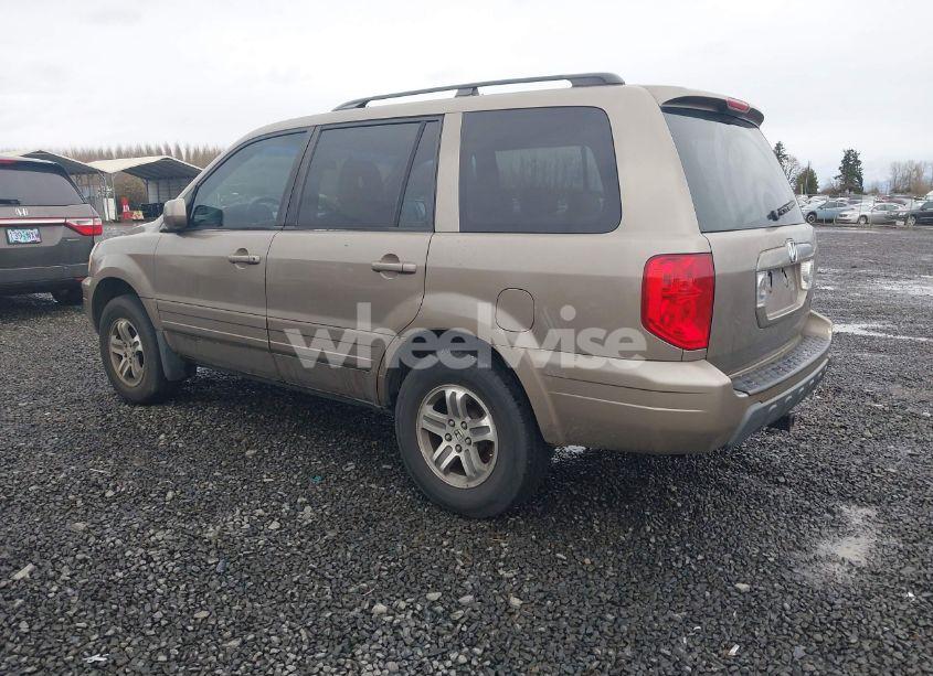 Photo 3 of 2005 Honda Pilot EX (VIN 2HKYF18485H505194)