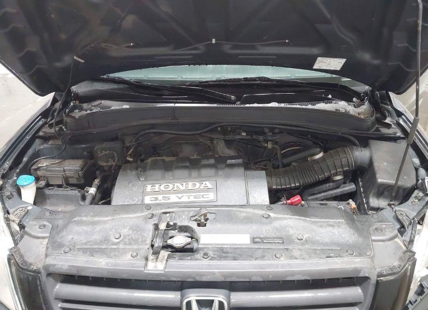 Photo 10 of 2005 Honda Pilot EX (VIN 2HKYF18485H509097)