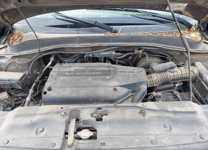 Photo 10 of 2003 Honda Pilot EX (VIN 2HKYF18493H508358)