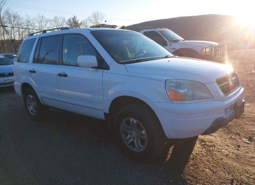 2003 Honda Pilot EX (VIN 2HKYF18493H545765) main photo
