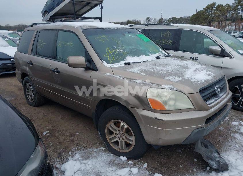 2004 Honda Pilot EX (VIN 2HKYF18494H543922) main photo