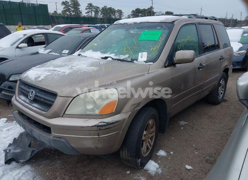 Photo 2 of 2004 Honda Pilot EX (VIN 2HKYF18494H543922)